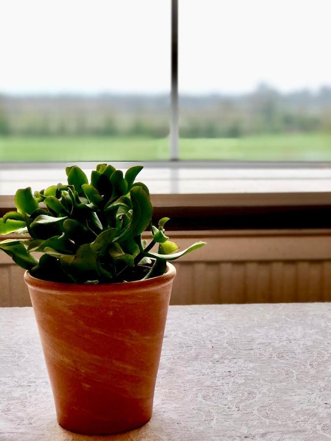 Ballymackey Lissanisky House Bed & Breakfast エクステリア 写真