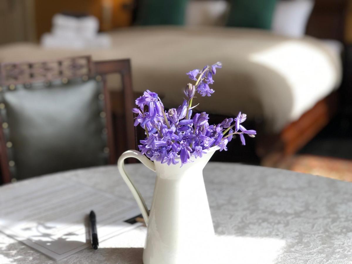 Ballymackey Lissanisky House Bed & Breakfast エクステリア 写真